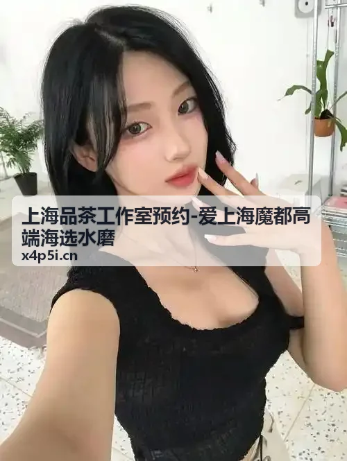 上海各区品茶工作室分布参考图